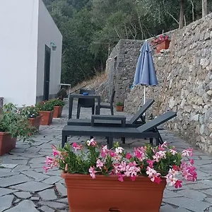 Le Finestre Di Appartamento